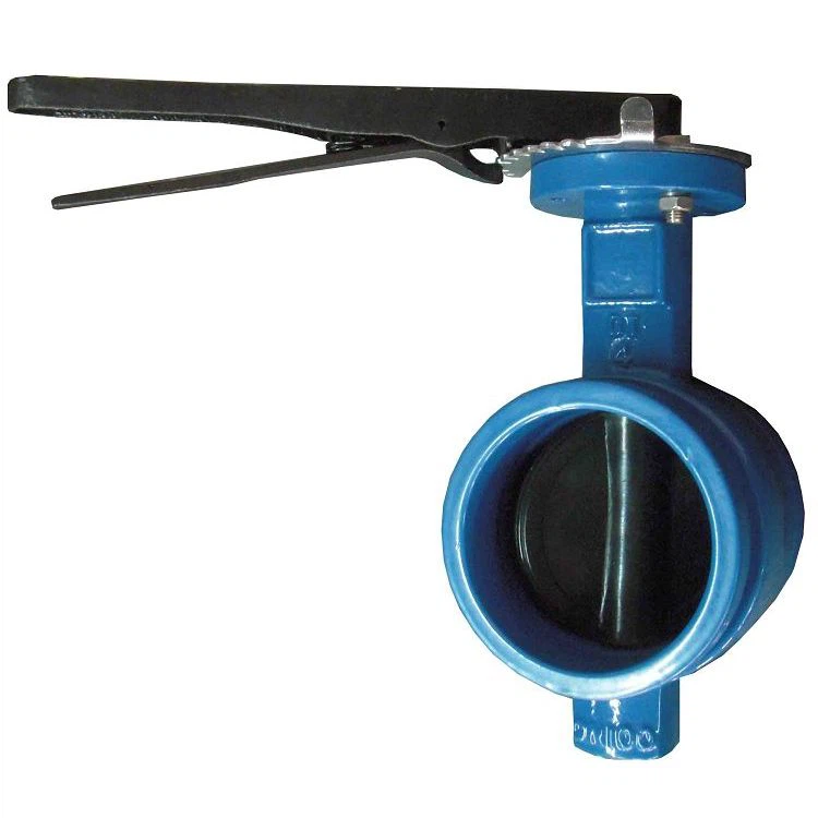 EPDM Coated Groove End Butterfly Valve