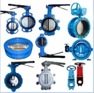 पोत के लिए निकला हुआ किनारा तितली वाल्व