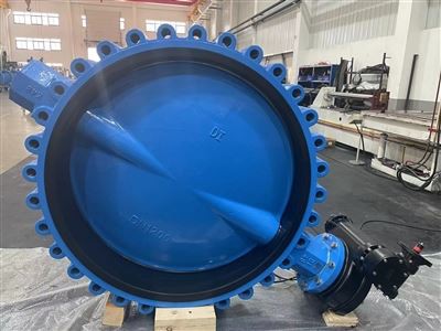 लग बटरफ्लाई वाल्वों की श्रृंखला पूर्ण कंटेनर, विदेशी बाजारों के लिए तैयार